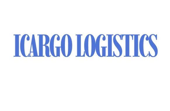 icargologistics.targetinternationalinc.com